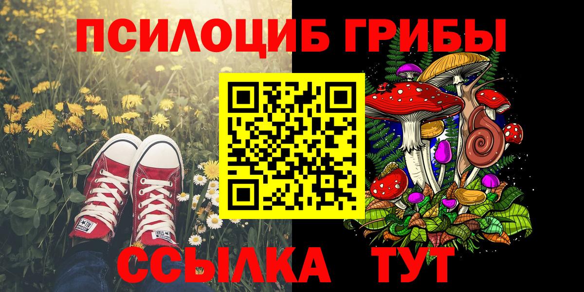Псилоцибиновые грибы мицелий Кингисепп