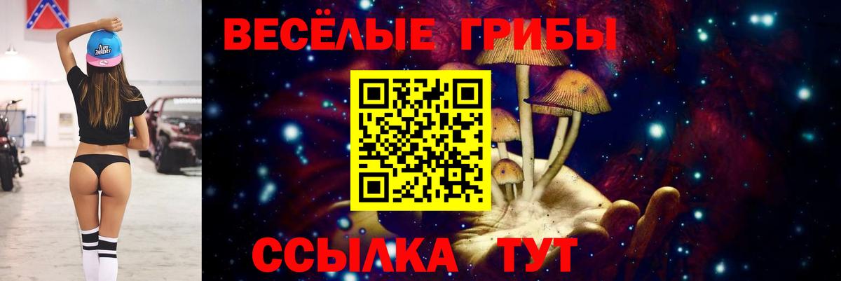 Кингисепп  Галлюциногенные грибы Cubensis  Вход с VPN 